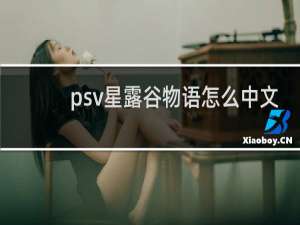 psv星露谷物语怎么中文