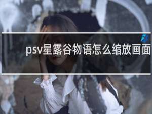 psv星露谷物语怎么缩放画面