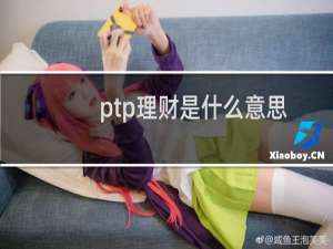 ptp理财是什么意思