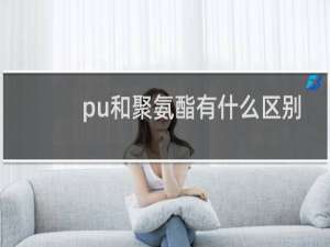 pu和聚氨酯有什么区别