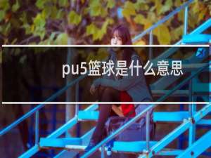 pu5篮球是什么意思