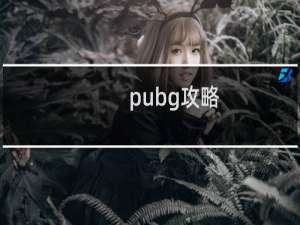 pubg攻略