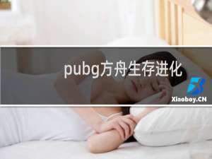 pubg方舟生存进化