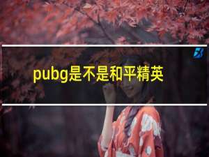 pubg是不是和平精英国际服(PUBG和平精英国际服下载)