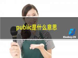 public是什么意思英语