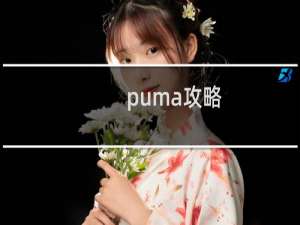 puma攻略