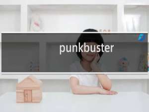punkbuster kicked（PunkBuster安装图文教程以及PunkBuster更新教程）