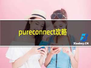 pureconnect攻略