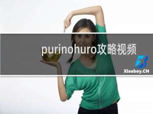 purinohuro攻略视频