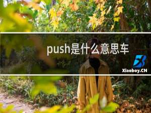 push是什么意思车上的（push汽车按键有什么用）