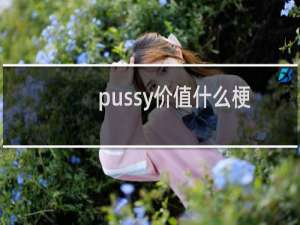 pussy价值什么梗