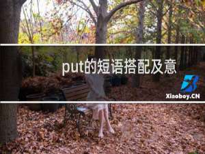put的短语搭配及意思（put的短语）
