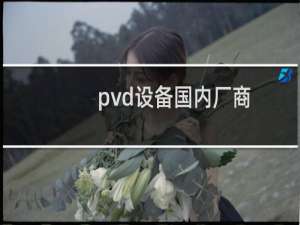 pvd设备国内厂商