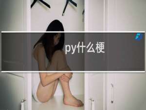 py什么梗