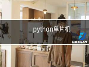 python单片机
