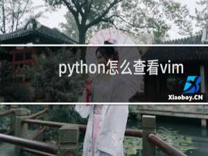 python怎么查看vim