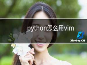 python怎么用vim