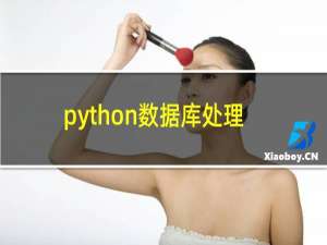 python数据库处理