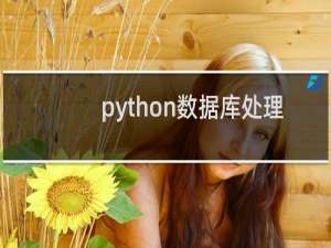 python数据库处理