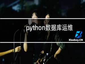 python数据库运维