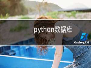 python数据库