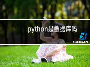 python是数据库吗