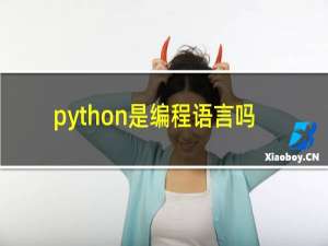 python是编程语言吗