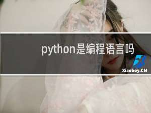 python是编程语言吗