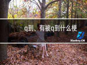 q到、有被q到什么梗