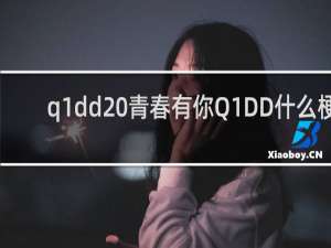 q1dd 青春有你Q1DD什么梗