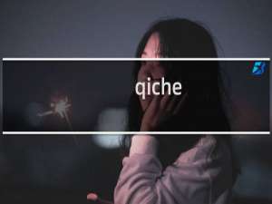 qiche.zhengshanbang.com解析。也提白名