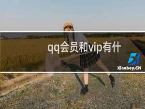 qq会员和vip有什么区别（QQ会员每个VIP等级都有什么特权）