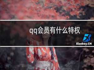 qq会员有什么特权（qq会员有什么好处）