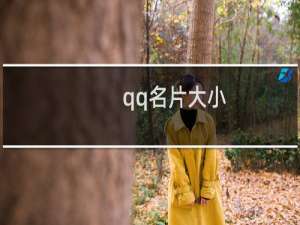 qq名片大小