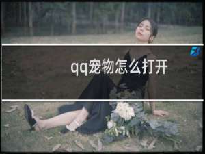 qq宠物怎么打开