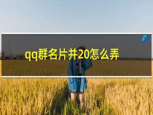 qq群名片并 怎么弄