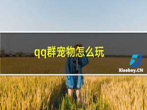 qq群宠物怎么玩