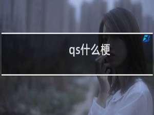qs什么梗