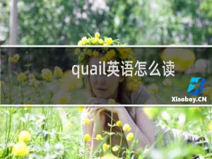 quail英语怎么读