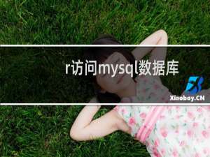 r访问mysql数据库