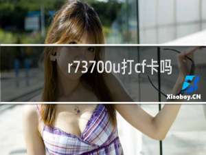 r73700u打cf卡吗