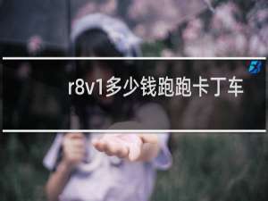 r8v1多少钱跑跑卡丁车