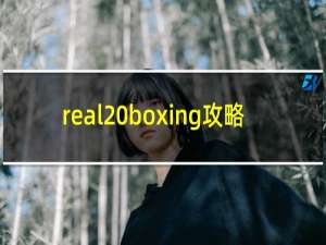 real boxing攻略