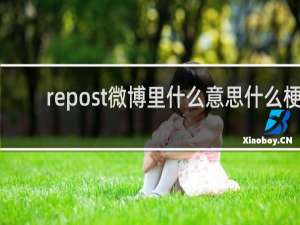 repost微博里什么意思什么梗