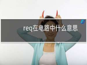 req在电路中什么意思