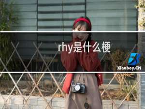 rhy是什么梗