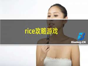 rice攻略游戏