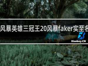 rich风暴英雄三冠王 风暴faker实至名归什么梗