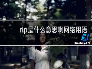 rip是什么意思啊网络用语，是什么英文的缩写什么梗