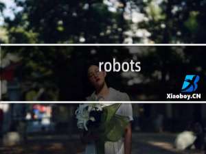 robots.txt文件删除不了